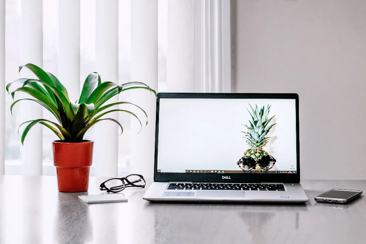 Tidy home desk with laptop, potted plant and glasses in natural light